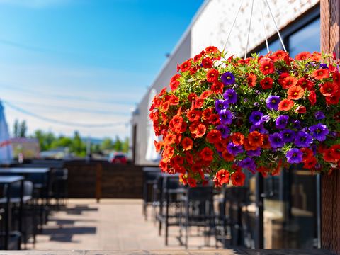 Our sunny patio, with a hanging basket of red and purple flowers over the tables