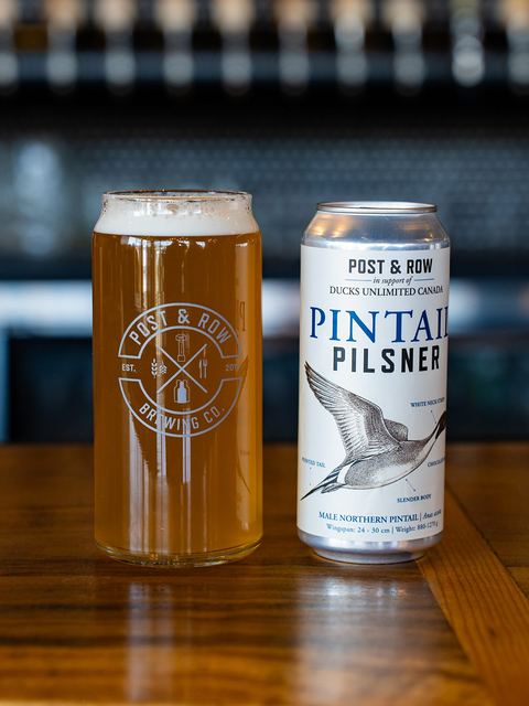 A pint glass of Pintail Pilsner next to a Pintail Pilsner can on the wooden bar, with the taps behind